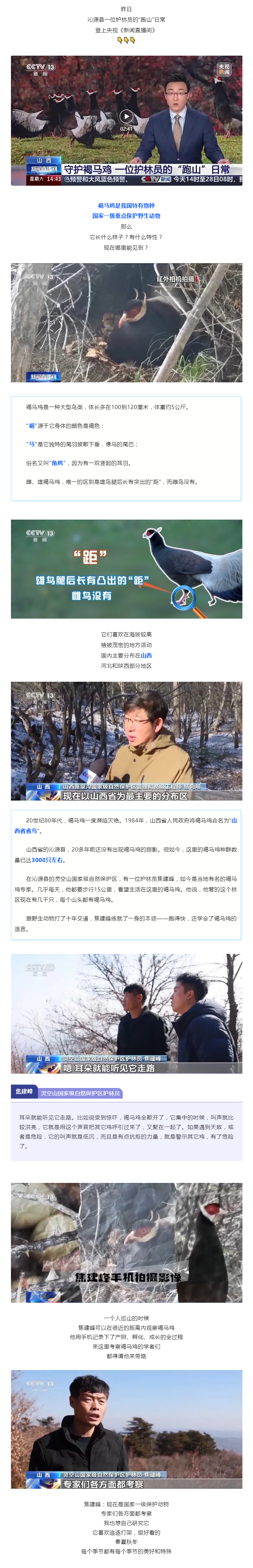 央視報道！長治沁源守護“省鳥”的護林員！.png
